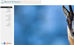 Webseite: brunodamicis.com